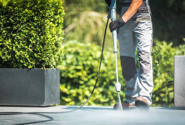 Best Soft Washing for Delicate Surfaces in Tillson, NY
